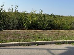 -秦始皇帝陵博物院-丽山园