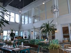 -Cha Cha's Beach Cafe