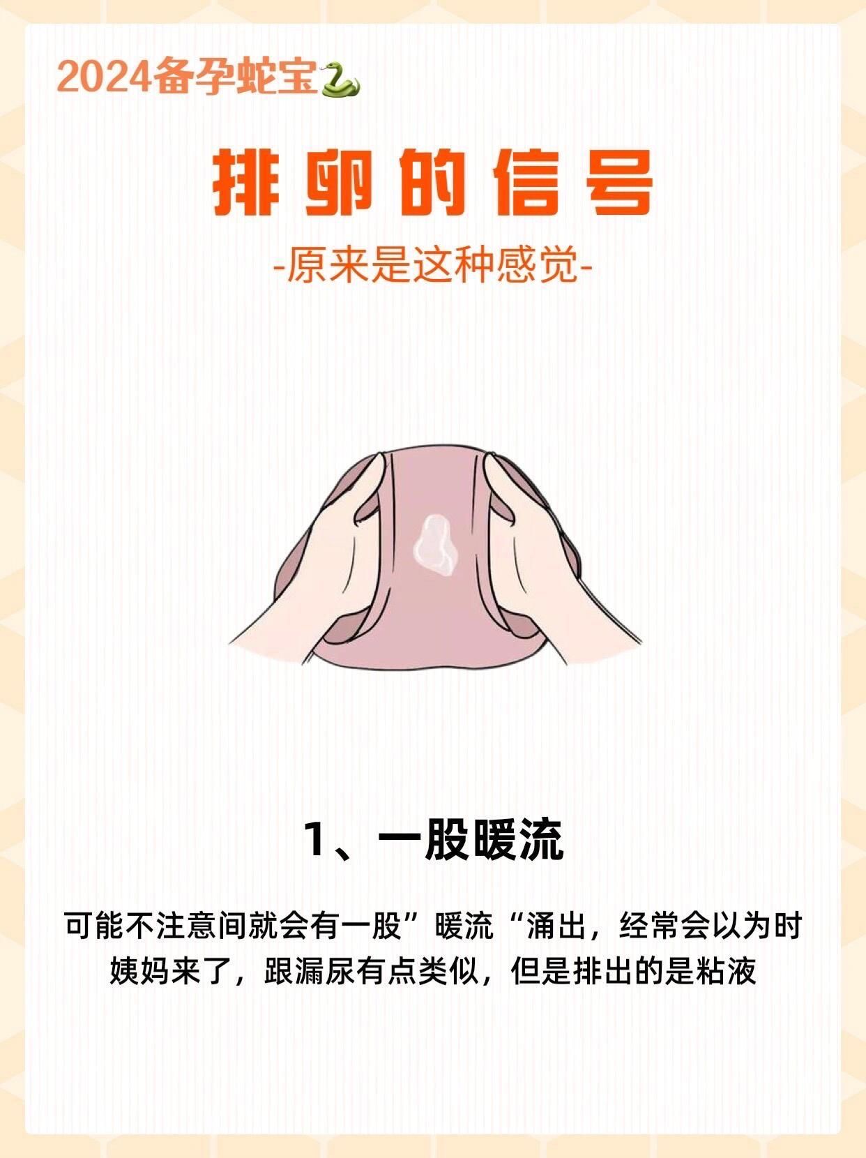 2024备孕蛇宝|如何正确预测排卵期!