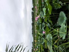 -白渔泡湿地公园