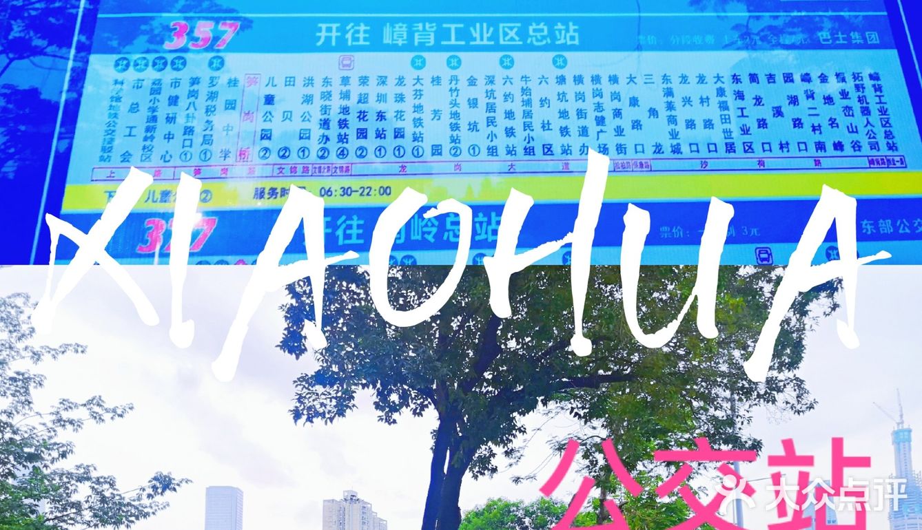 深圳0元拍照丨（附地图）光明有红桥，罗湖有迷你蓝桥鸭～