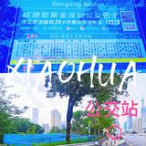 深圳0元拍照丨（附地图）光明有红桥，罗湖有迷你蓝桥鸭～
