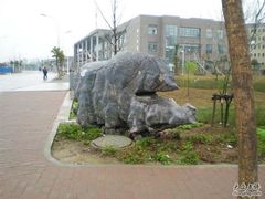 -中国药科大学（江宁校区）综合门诊部