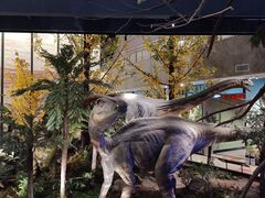 -湖南省地质博物馆