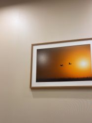 -北京米扬丽格医疗美容·联合丽格鼻整形中心