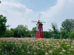 -祥源·阜阳生态乐园