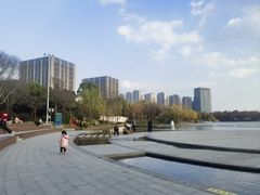 -南翔镇银翔湖公园
