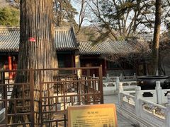 -潭柘寺景区