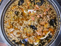 -陈麻婆豆腐总店