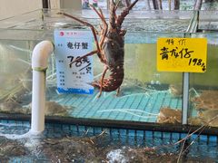 -海澄轩海鲜酒家(虎门店)