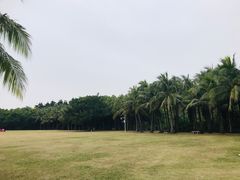 -深圳湾公园(南山区)