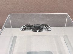 -镇江博物馆