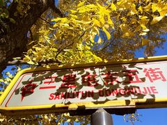 -三里屯东五街银杏大道
