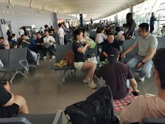 -合肥新桥国际机场-航站楼