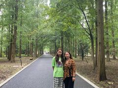 -东平国家森林公园