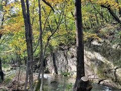 -五女峰国家森林公园