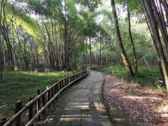 -中国天府农业博览园