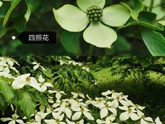 -国家植物园南园