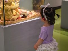 -成都泰迪熊博物馆