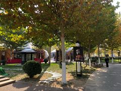 -九十九顶毡房(阜石路店)