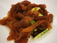 -鲁宴·鲁煨黄河生态大鲤鱼(月坛店)