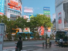 -涩谷区