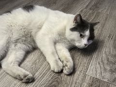 -顽啤熊·酒客酒馆(苏城夜景必选店)