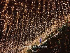 -烛影拾光观景餐厅·创意菜·摄影·小提琴(大唐不夜城店)