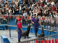 -华夏文旅海洋公园