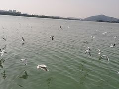 -蠡湖大桥公园