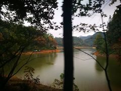 -千岛湖龙川湾