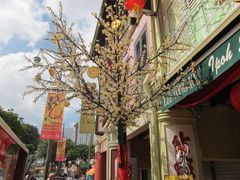 -新加坡佛牙寺龙华院