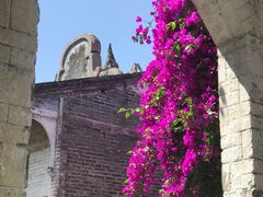 -金谷域澳洲庄园