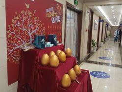 -碧莲盛·不剃发植发