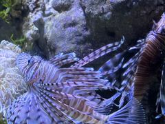 -郑州海洋馆