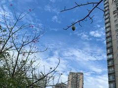 -龙岩森林水乡景区