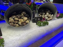 -加餐海鲜自助(宝龙一城店)