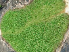 -飞天山旅游区