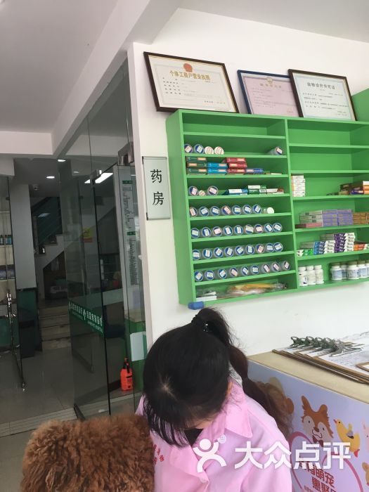 佳雯宠物医院(杭州九堡分院)图片 - 第1张