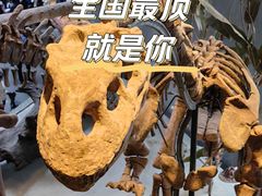 -上海自然博物馆