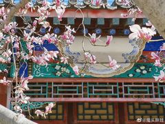 -颐和园