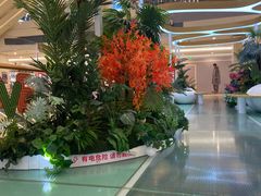 -七彩云南第壹城