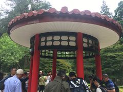 -庐山风景区花径公园