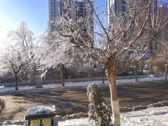 -和润艺术酒店-自助早餐厅