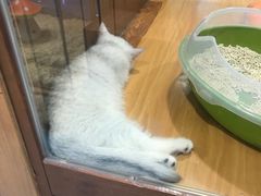 -龟与熊猫宠物公园(南坪店)