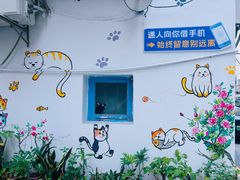 -猫咪博物馆(顶澳仔猫街店)