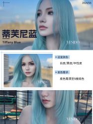 -YESIDO椰岛造型