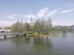 -尚贤河湿地