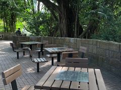 -九龙公园
