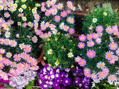 -斯多格书乡(北京大学畅春园店)